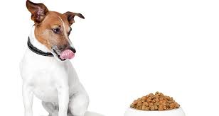 How do I study the canine meals factor listing? 