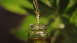 CBD Oil, Their Extraction, The Relationship Between CBD Oil And Tetrahydrocannabinol And Hemp