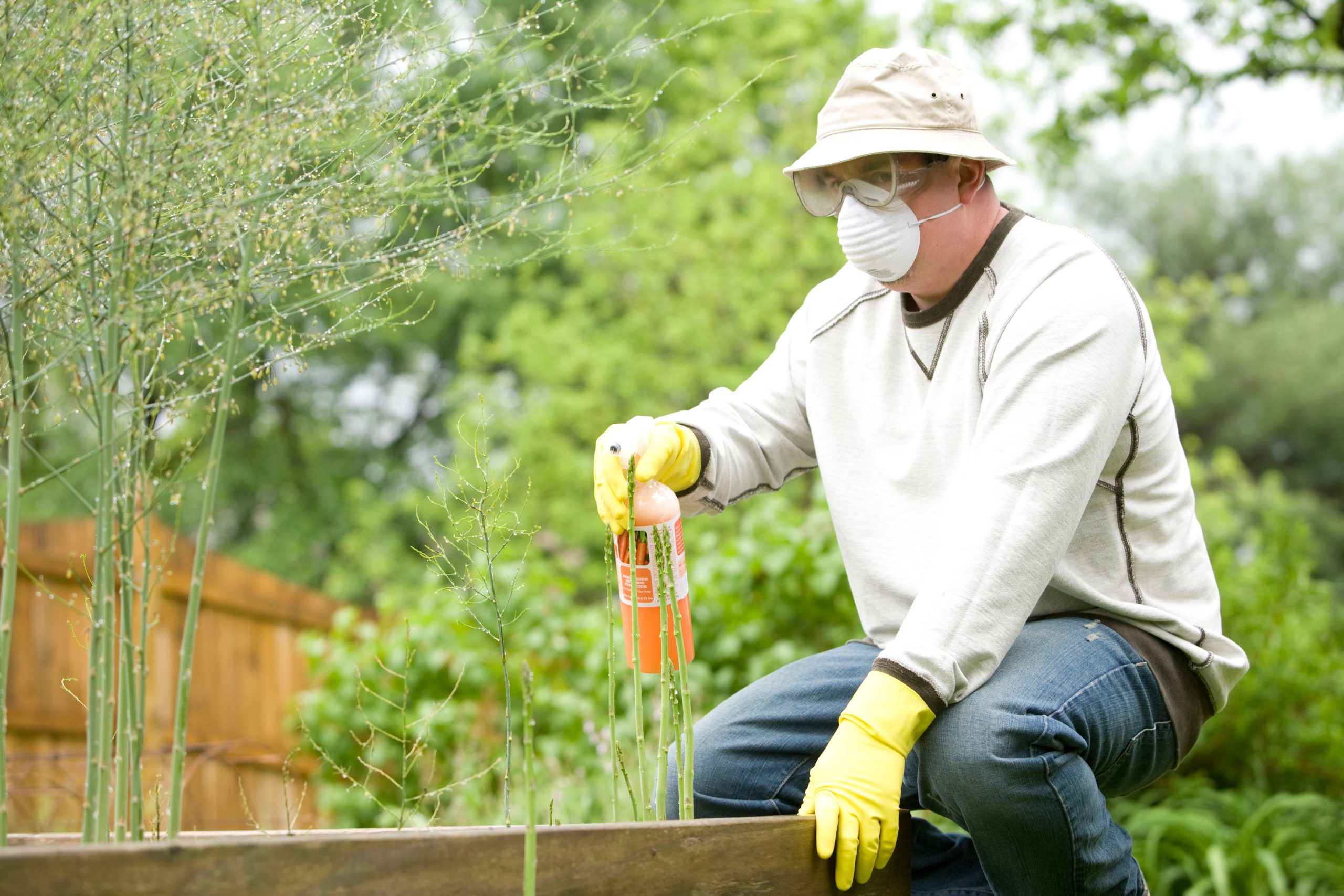 Common Types of Bugs Found in Your Garden 