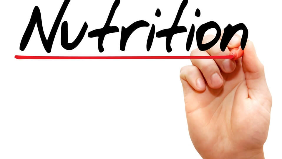 What is the Relationship Between Nutrition and Muscle Growth?