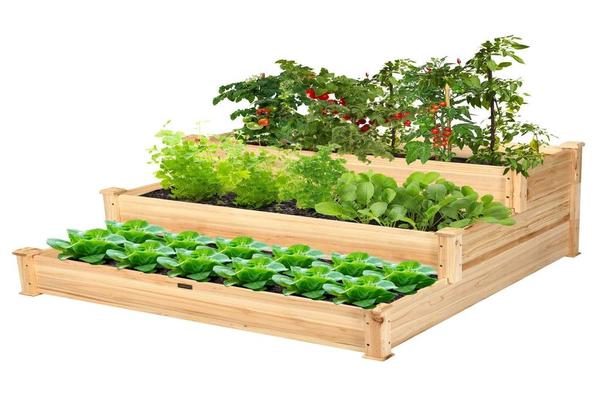 The Benefits of a Garden Bed Planter_2