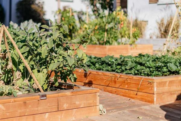 The Benefits of a Garden Bed Planter_3